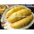 FRESH DURIAN HIGH QUALITY - BEST PRICE FROM VIETNAM 2017